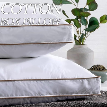 Two white pillows with gold trim stacked on a surface, with a plant in the background.