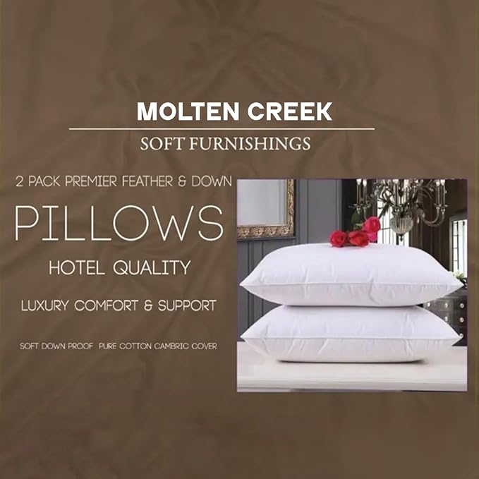 2 pack premium and soft furnishing pillows 